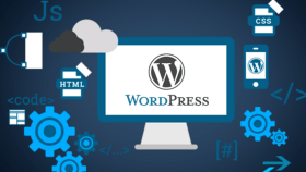 sizin için wordpress anahtar teslim web sitesi kurabilirim