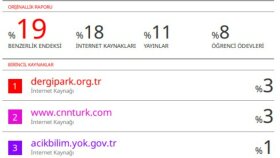 akademik çalışmalarınızın intihal raporunu hazırlarım