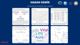 SPSS, Amos ve MaxQDA ile verilerinizi analiz ederim