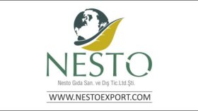 profesyonel logo tasarımı