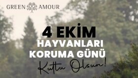 Özel Gün Tasarımları