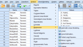 nicel verilerinizi SPSS ile analiz edebilirim
