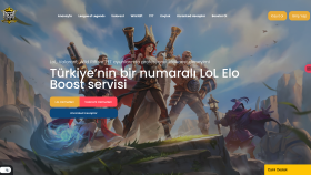 her türlü website projenizi yaparım