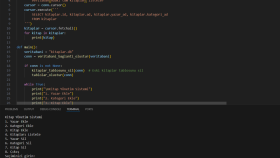 Python projelelerinizi yapabilirim
