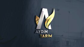  Kurumsal Logo Tasarım