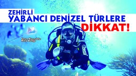 50x70 Poster & Afiş
