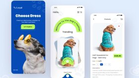 Loyal - Figma & Adobe XD