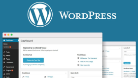 Wordpress problemleri