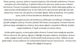 ozgurbakrac adlı alıcı için yazdığım masaldan alıntı