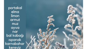 Konsept Sosyal Medya Postları