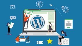 anahtar teslim kontrol panelli WordPress sitesi kurabilirim