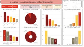 Excel ve Power BI ile veri analizi yapıyorum