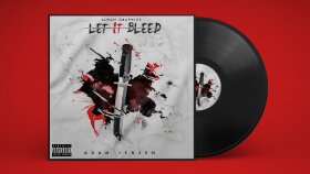 Adam Jensen - Let It Bleed alternatif albüm kapağı çalışması