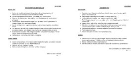 Tıp Çevirisi 3