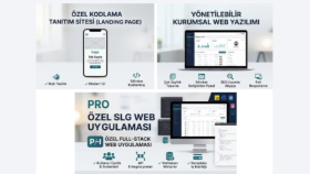 profesyonel bir şekilde web sitenizi yaparım