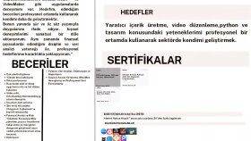 profesyonel cv tasarımı yaparım