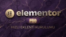 wordpress elementor pro eklentisi kurabilirim