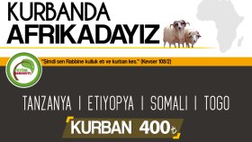 Kreatif ve profesyonel sosyal medya tasarımları yapabilirim