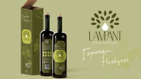 Lampant Sızma Zeytinyağı Ambalaj Tasarımı