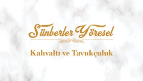 sunberleryoresel sosyal medya kuruluşu ve yönetimi