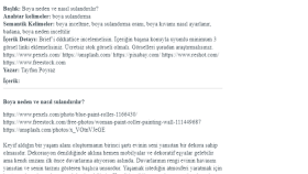 Web Sitesi İçerik Örneği 2