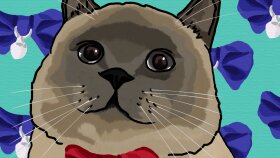 Kedi-Illustration