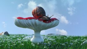 karakter modelleme ve 3d tasarım yaparım