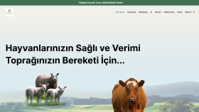 Bir kurumsal web sitenin daha sonuna yaklaştık