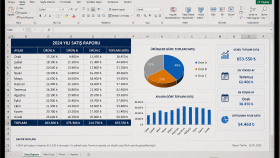 Excel tablolarınızı düzenler ve profesyonel hale getiririm