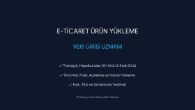 E-ticaret siteleriniz için düzenli veri girişi yapabilirim