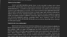 Sapanca yazı örnek 