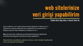 web sitenize veri girişi yapabilirim
