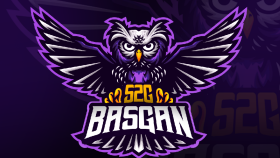 profesyonel ve minimal logo tasarımı yaparım