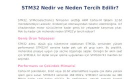 Türkçe ve İngilizce makale yazarlığı yaparım