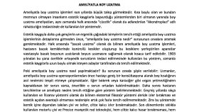 SEO'ya Uygun Metin Yazarlığı