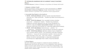 Güvenlik Kamerası Adli Ses ve Hareket Analiz Raporu