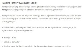 Web sitesi içerikleri hazırlarım