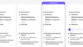 web sitenizin çalışması için sunucu hizmetini verebilirim