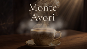 MONTE AVORI - WEBSİTE TASARIMI