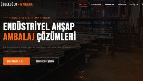 Web sitesi tasarımı