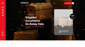 Pyhton Django kullanarak size web sitesi yapıyorum
