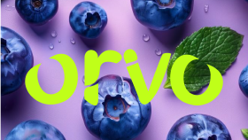 Orvo Logo Tasarımı