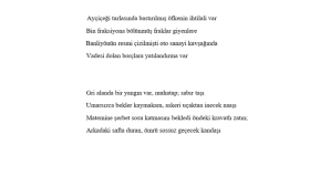metin düzenleme yapabilirim