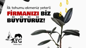 kurumsal kimlik tasarımı alanında profesyonel destek veririm