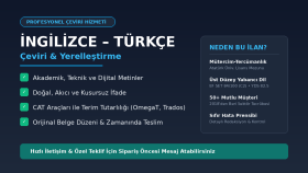 İngilizce-Türkçe profesyonel çeviri ve yerelleştirme yaparım