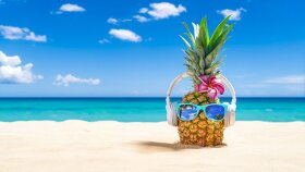 Plansholiday