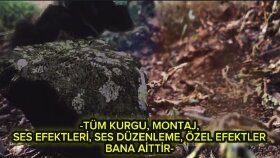 Ben videolarınızı öne çıkaracak şekilde kurgularım