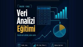 online canlı veri analizi eğitimi veririm
