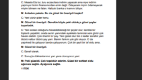 ses kaydı, video ve kağıttaki metni deşifre edebilirim