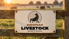 European Livestock - Logo Tasarımı